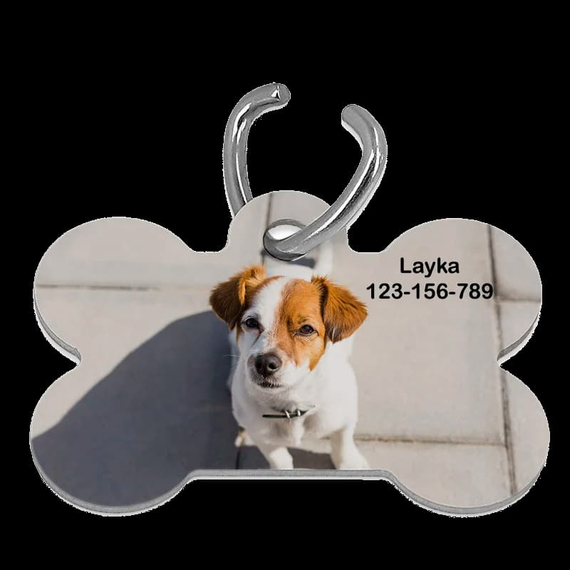 Placa de mascota