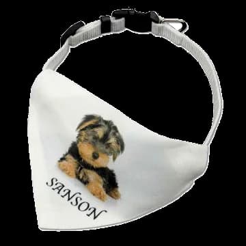 Collar mascotas